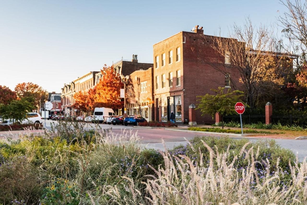 Revived Lf Square 1Br With Rooftop By Zencity Saint Louis Exterior photo